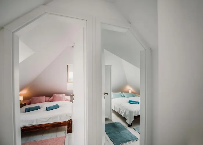 View- Free Parking 佩奇