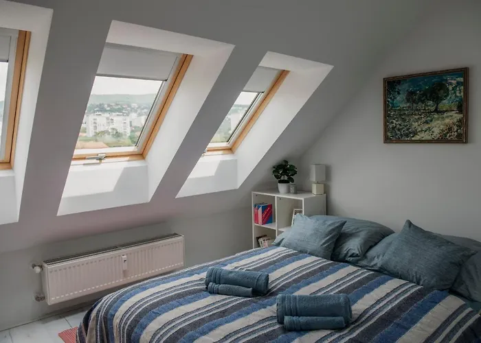 View- Free Parking 佩奇