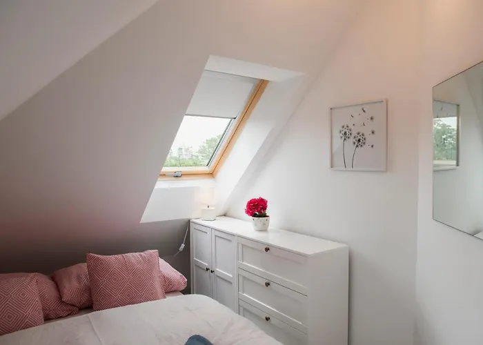 View- Free Parking * 佩奇